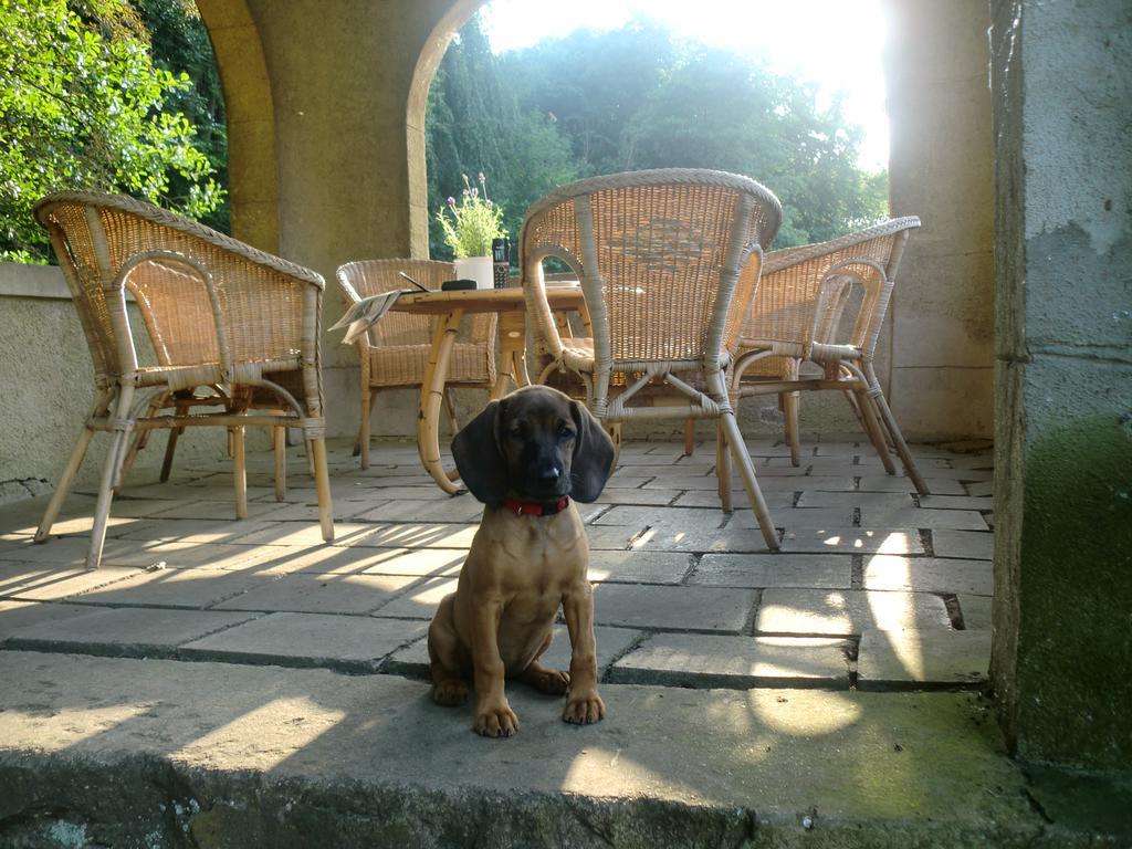Jagdschloss-Bellin Bellin  エクステリア 写真